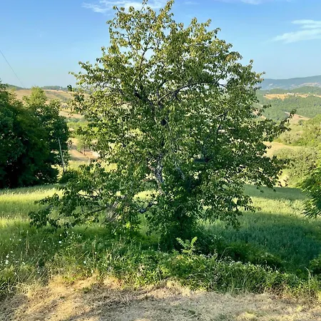 Apartament La Dimora Di Armida