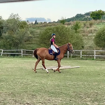 Apartman La Dimora Di Armida Torricella Peligna