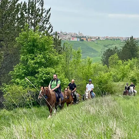 Apartament La Dimora Di Armida