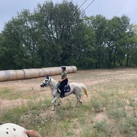 La Dimora Di Armida Apartament *