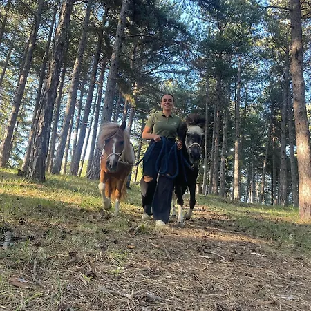 La Dimora Di Armida Apartament *