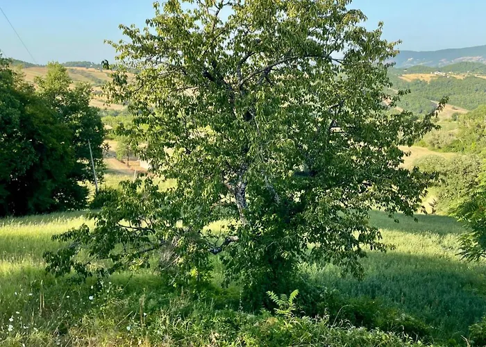 Διαμέρισμα La Dimora Di Armida