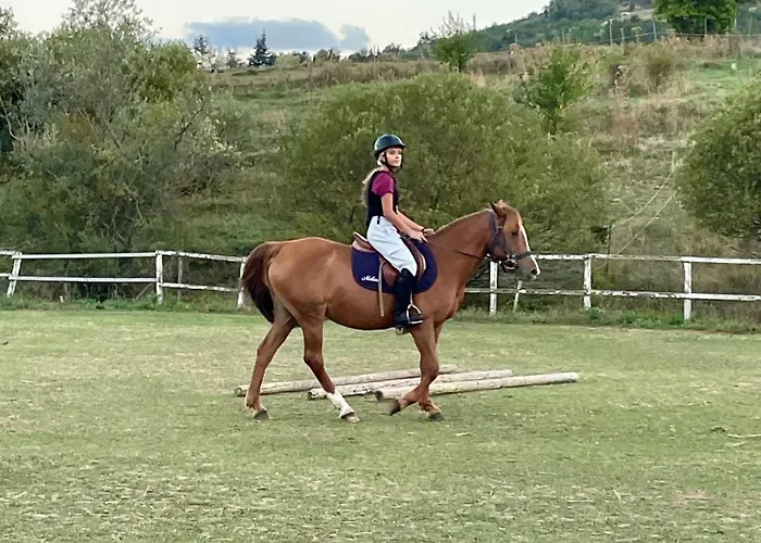 Διαμέρισμα La Dimora Di Armida Torricella Peligna