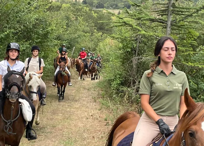 La Dimora Di Armida Torricella Peligna